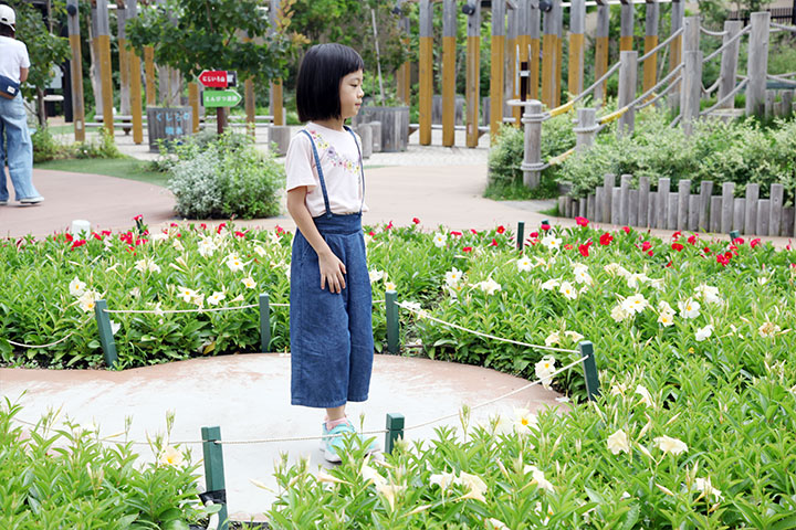 Grand Tree Musashikosugi